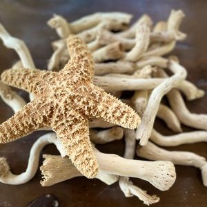 Pottery Barn drift wood vase filler